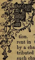 Picture 17 of 64 from The Photographic art-journal (1851), leaf 113