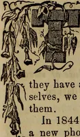 Picture 42 of 64 from The Photographic art-journal (1851), leaf 251
