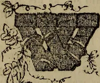 Picture 45 of 64 from The Photographic art-journal (1851), leaf 293