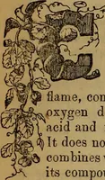 Picture 8 of 64 from The Photographic art-journal (1851), leaf 33