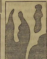 Picture 60 of 64 from The Photographic art-journal (1851), leaf 349