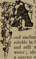 Picture 61 of 64 from The Photographic art-journal (1851), leaf 359
