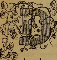An illustration from The Photographic art-journal (1851)