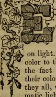 An illustration from The Photographic art-journal (1851)