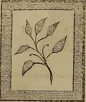 An illustration from The Photographic art-journal (1851)
