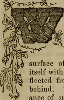 Picture 44 of 79 from The Photographic art-journal (1851), leaf 164