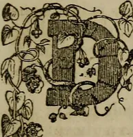 An illustration from The Photographic art-journal (1851)