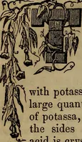 Picture 20 of 79 from The Photographic art-journal (1851), leaf 39