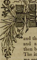 An illustration from The Photographic art-journal (1851)