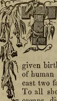 An illustration from The Photographic art-journal (1851)