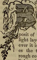An illustration from The Photographic art-journal (1851)