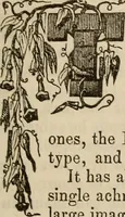 Picture 49 of 79 from The Photographic art-journal (1851), leaf 294