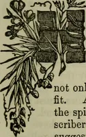 Picture 57 of 79 from The Photographic art-journal (1851), leaf 318