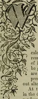 An illustration from The Photographic art-journal (1851)
