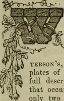 An illustration from The Photographic art-journal (1851)
