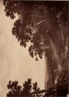 An illustration from Photographs of the "Gems of the Art Treasures Exhibition," Manchester, 1857 (1858)