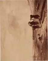 An illustration from Photographs of the "Gems of the Art Treasures Exhibition," Manchester, 1857 (1858)