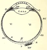 An illustration from Photography in colours (1917)