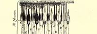 An illustration from Photography in colours : a text-book for amateurs and students of physics : with a chapter on kinematography in the colours of nature (1914)