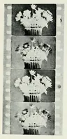 Picture 12 of 16 from Photography in colours (1916), leaf 249