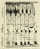An illustration from Photography in colours (1916)