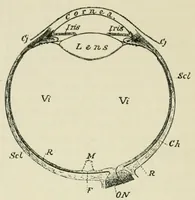 An illustration from Photography in colours (1916)