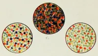 Picture 4 of 16 from Photography in colours (1916), leaf 70