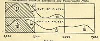 Picture 4 of 14 from The photography of coloured objects (1909), leaf 39