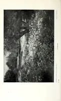 An illustration from The photography of coloured objects (1909)