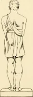 Picture 5 of 79 from Phrenology in connection with the study of physiognomy : to which is prefixed a biography of the author by Nahum Capen (1836), leaf 376