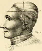 Picture 16 of 79 from Phrenology in connection with the study of physiognomy : to which is prefixed a biography of the author by Nahum Capen (1836), leaf 384
