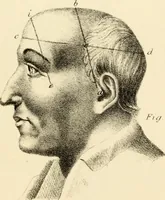 Picture 17 of 79 from Phrenology in connection with the study of physiognomy : to which is prefixed a biography of the author by Nahum Capen (1836), leaf 384