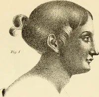 An illustration from Phrenology in connection with the study of physiognomy : to which is prefixed a biography of the author by Nahum Capen (1836)