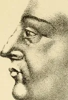 An illustration from Phrenology in connection with the study of physiognomy : to which is prefixed a biography of the author by Nahum Capen (1836)