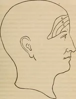 An illustration from Phreno-geology: the progressive creation of man, indicated by natural history, and confirmed by discoveries which connect the organization and functions of the brain with the successive geological periods (1851)