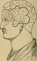 An illustration from Phreno-geology: the progressive creation of man, indicated by natural history, and confirmed by discoveries which connect the organization and functions of the brain with the successive geological periods (1851)