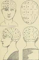 Picture 2 of 80 from Phrenologische Bilder : zur Naturlehre des menschlichen Geistes und deren Anwendung Wissenschaft und Leben (1855), leaf 32
