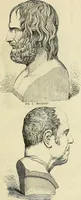 Picture 27 of 80 from Phrenologische Bilder : zur Naturlehre des menschlichen Geistes und deren Anwendung Wissenschaft und Leben (1855), leaf 350