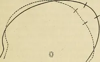 Picture 76 of 80 from Phrenologische Bilder : zur Naturlehre des menschlichen Geistes und deren Anwendung Wissenschaft und Leben (1855), leaf 472