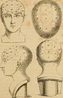 Picture 2 of 60 from Phrenologische Bilder : zur Naturlehre des menschlichen Geistes und deren Anwendung Wissenschaft und Leben (1855), leaf 24