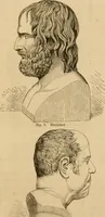 An illustration from Phrenologische Bilder : zur Naturlehre des menschlichen Geistes und deren Anwendung Wissenschaft und Leben (1855)