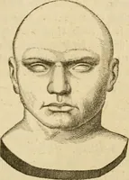 An illustration from Phrenologische Bilder : zur Naturlehre des menschlichen Geistes und deren Anwendung Wissenschaft und Leben (1855)