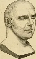 An illustration from Phrenologische Bilder : zur Naturlehre des menschlichen Geistes und deren Anwendung Wissenschaft und Leben (1855)