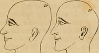An illustration from Phrenologische Bilder : zur Naturlehre des menschlichen Geistes und deren Anwendung Wissenschaft und Leben (1855)