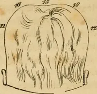 Picture 16 of 60 from Phrenologische Bilder : zur Naturlehre des menschlichen Geistes und deren Anwendung Wissenschaft und Leben (1855), leaf 89