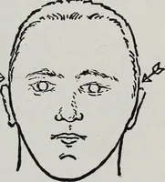 An illustration from Phrenology; how to tell your own and your friend's character from the shape of the head (1910)