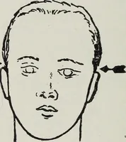 An illustration from Phrenology; how to tell your own and your friend's character from the shape of the head (1910)