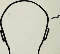 Picture 24 of 49 from Phrenology; how to tell your own and your friend's character from the shape of the head (1910), leaf 107