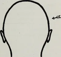 An illustration from Phrenology; how to tell your own and your friend's character from the shape of the head (1910)