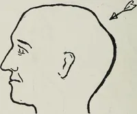 An illustration from Phrenology; how to tell your own and your friend's character from the shape of the head (1910)